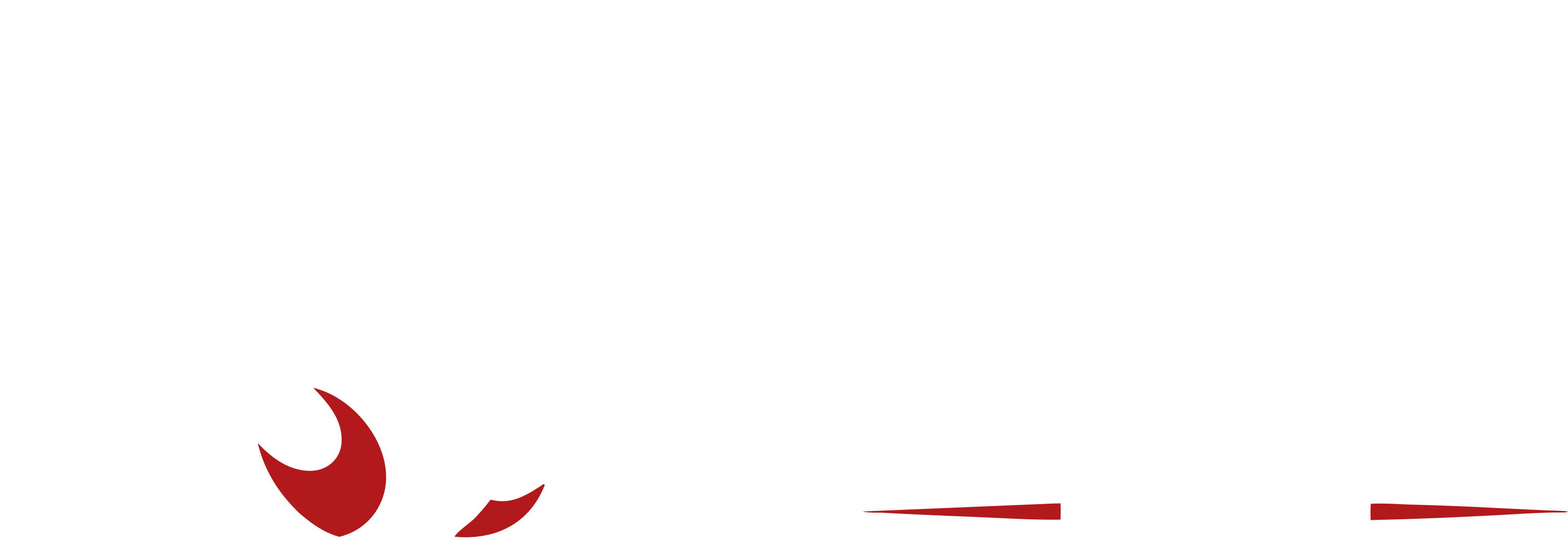 Logo oficial Elite Drako Gym
